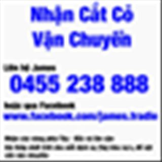 Dịch vụ Cắt Cỏ - Vận Chuyển